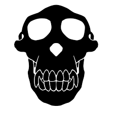 crazy monkey amsterdam partner logo